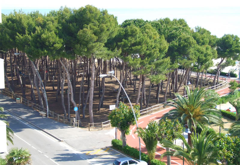 Pineta Alba Adriatica